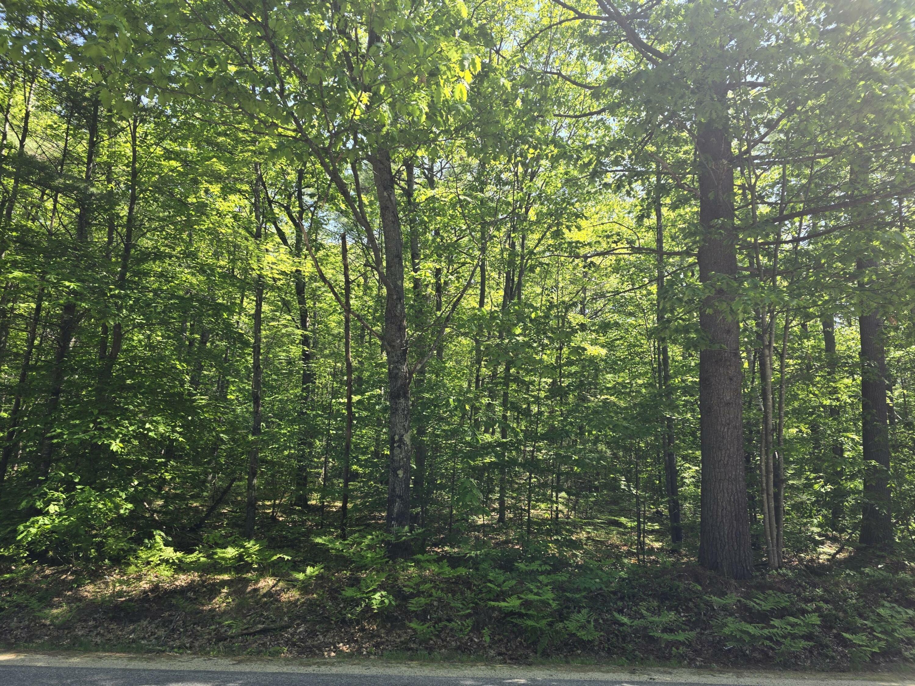 Property Photo: Lotr10map4 Skeetfield Road ME 04270