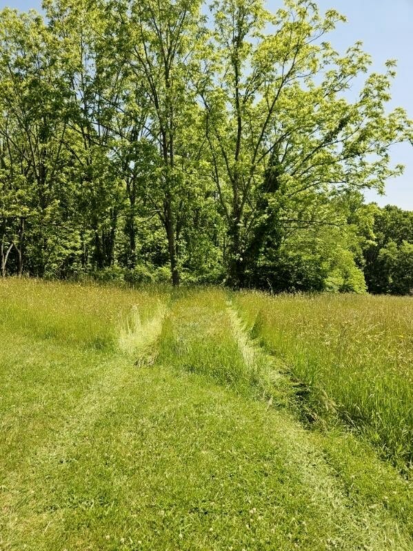 Property Photo: 0 Red Oak Ridge Road WV 24701