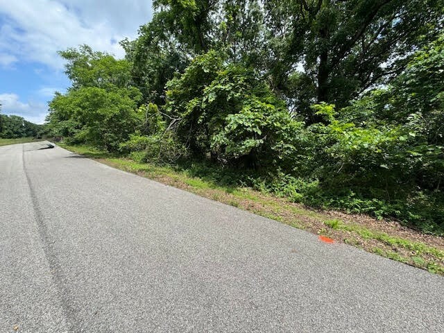 14 Cypress Point Lane  Holiday Island AR 72631 photo