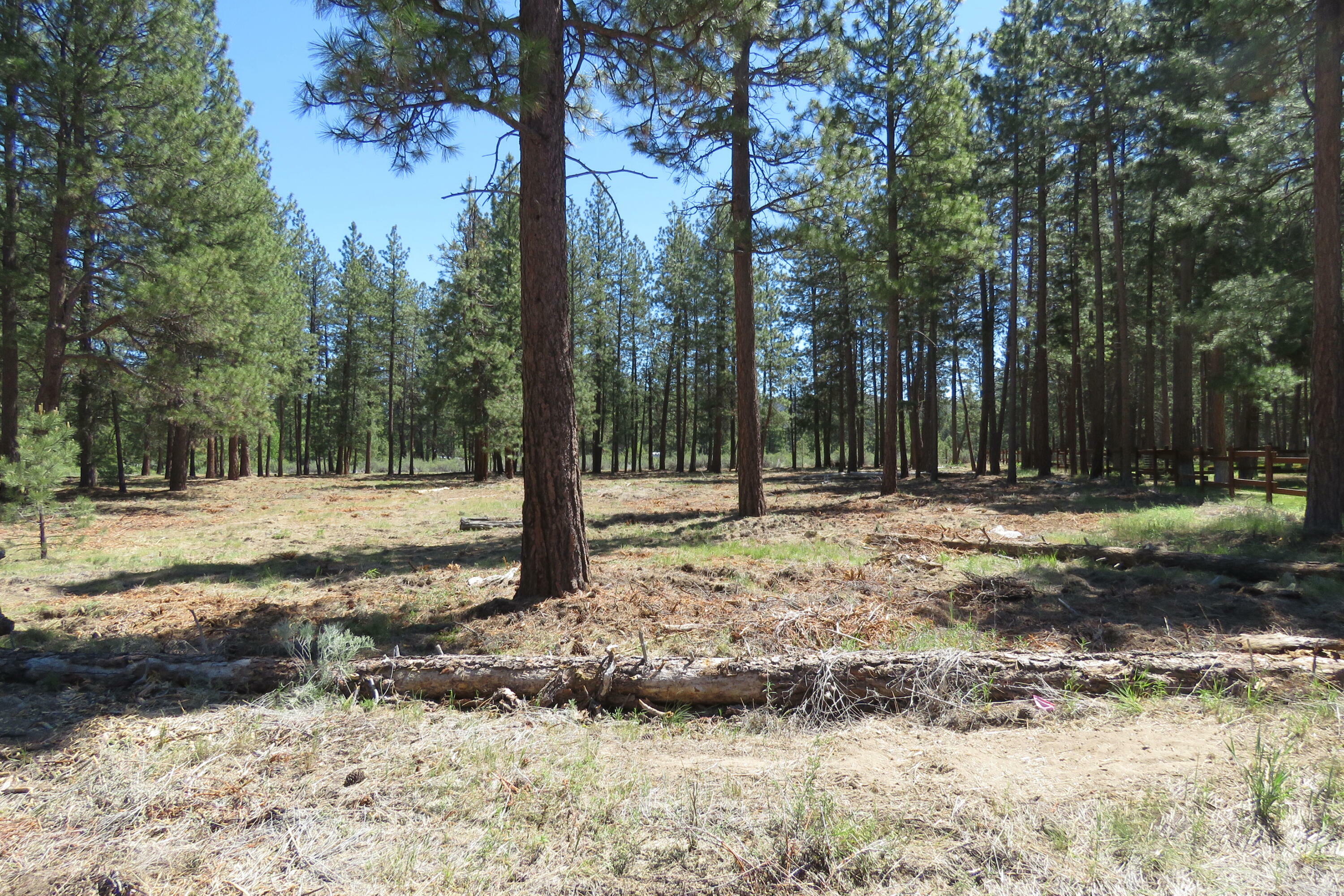 Property Photo: 7 Castle Drive OR 97624