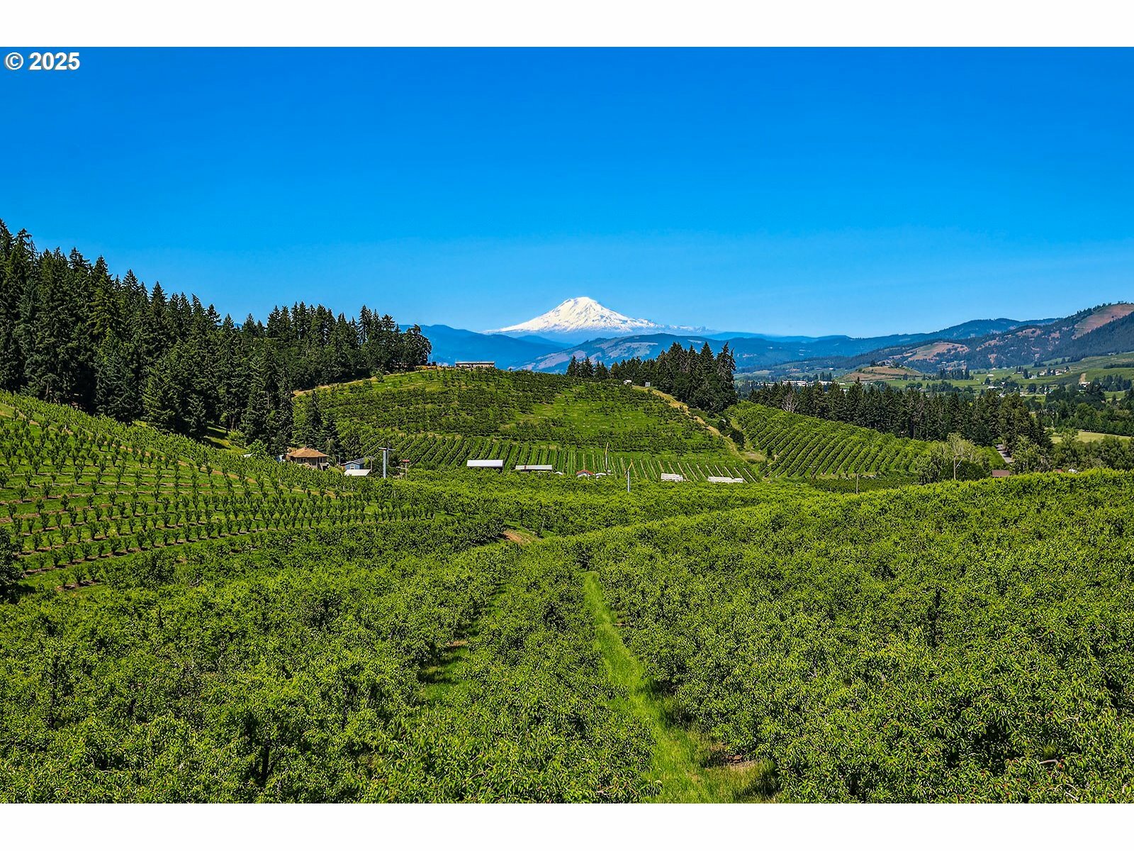 3720 Scott Rd  Hood River OR 97031 photo