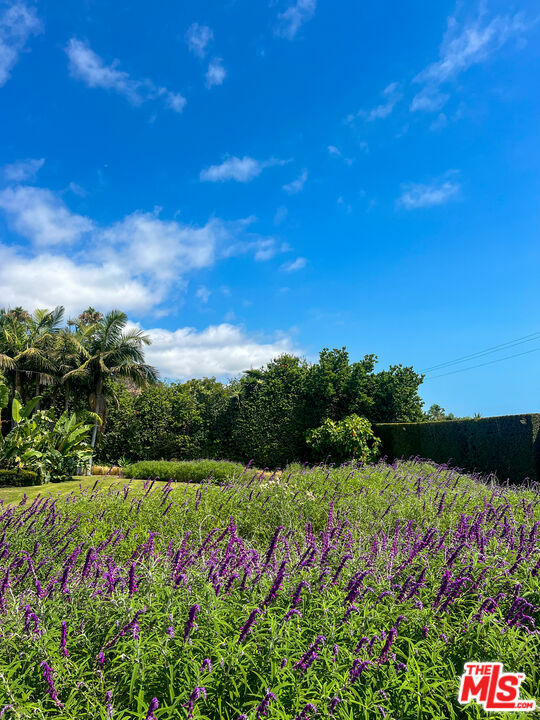 Property Photo: 26799 Pacific Coast Hwy CA 90265