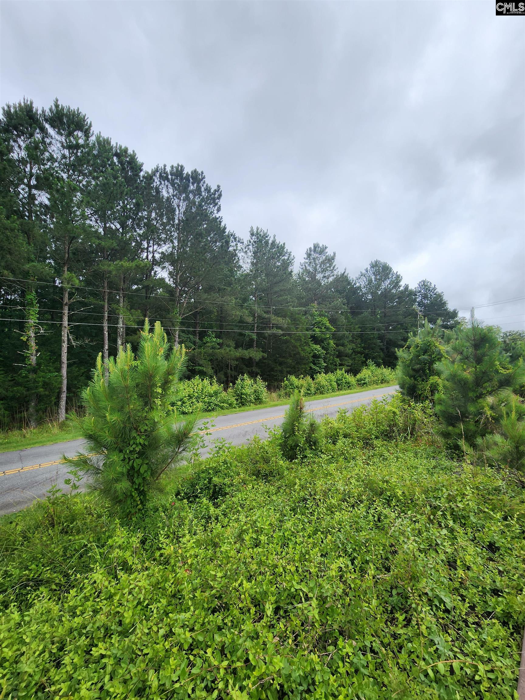 Property Photo:  0 Elm  SC 29127 