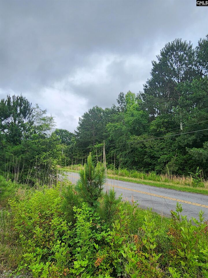 Property Photo:  0 Elm  SC 29127 