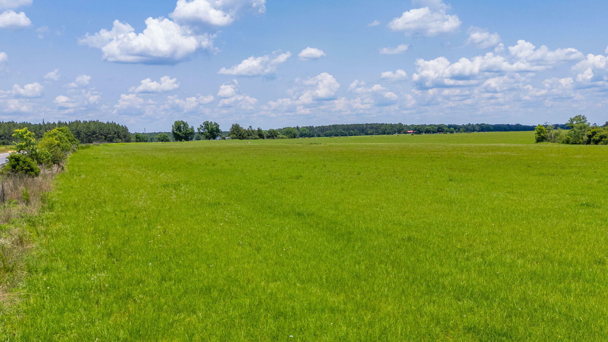 Property Photo: Parcel B Adams Drive FL 32433