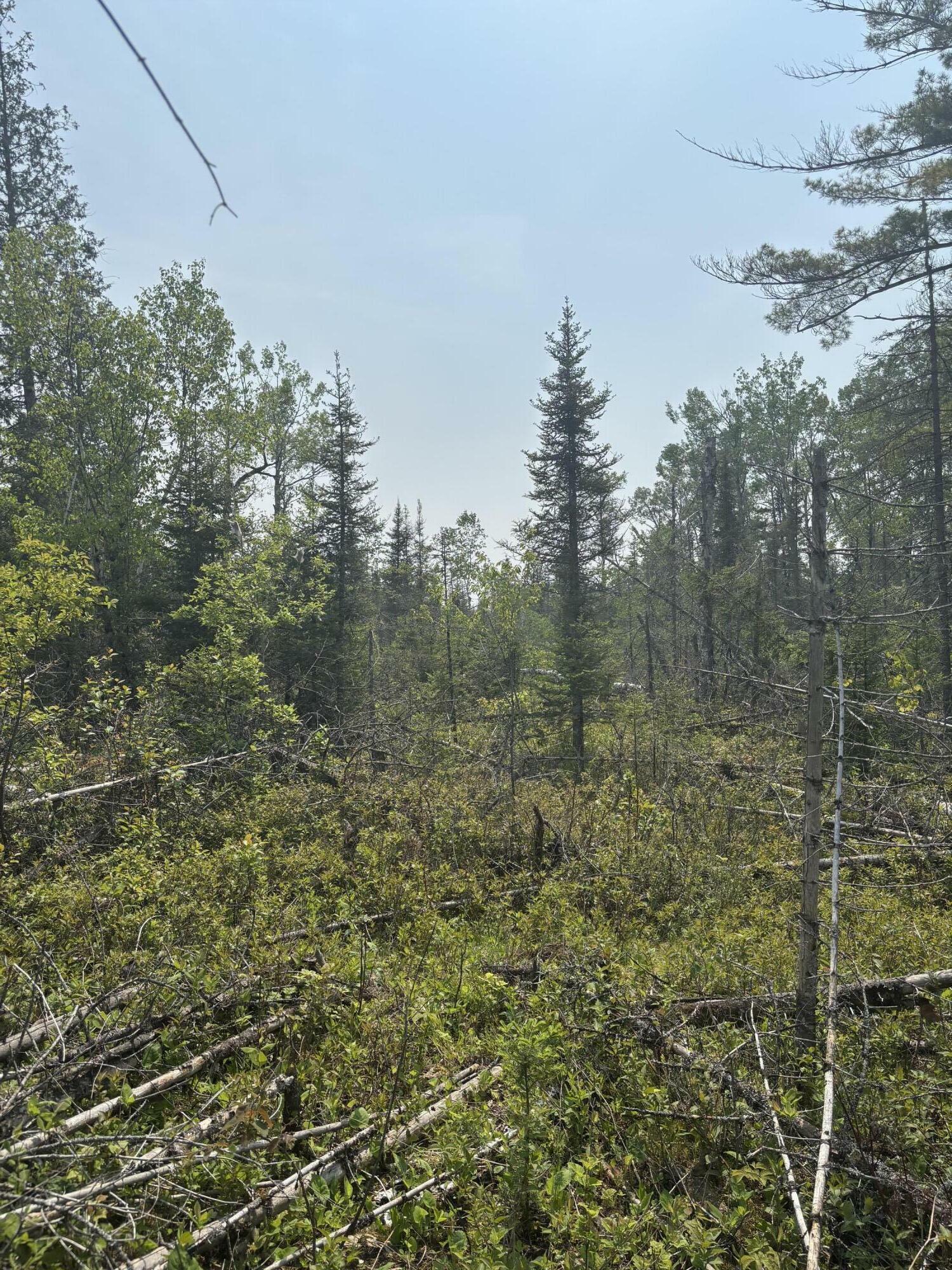 Property Photo:  Tbd W M-134 Hwy  MI 49745 