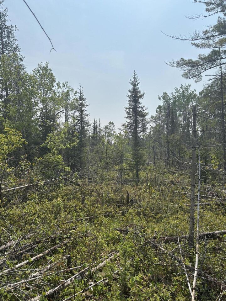 Property Photo: Tbd W M-134 Hwy MI 49745