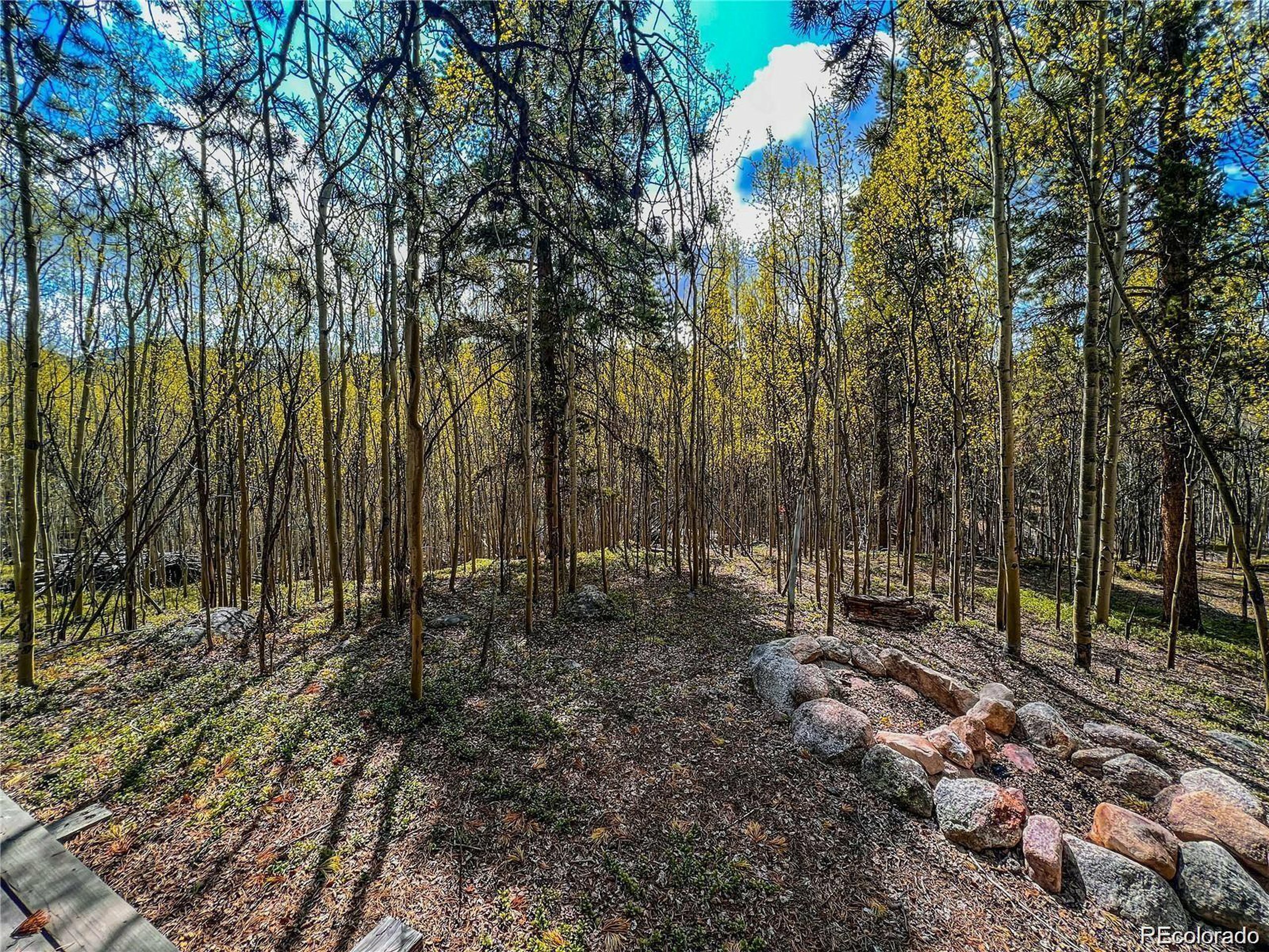 Property Photo:  2564 Empire Valley Dr  CO 80461 