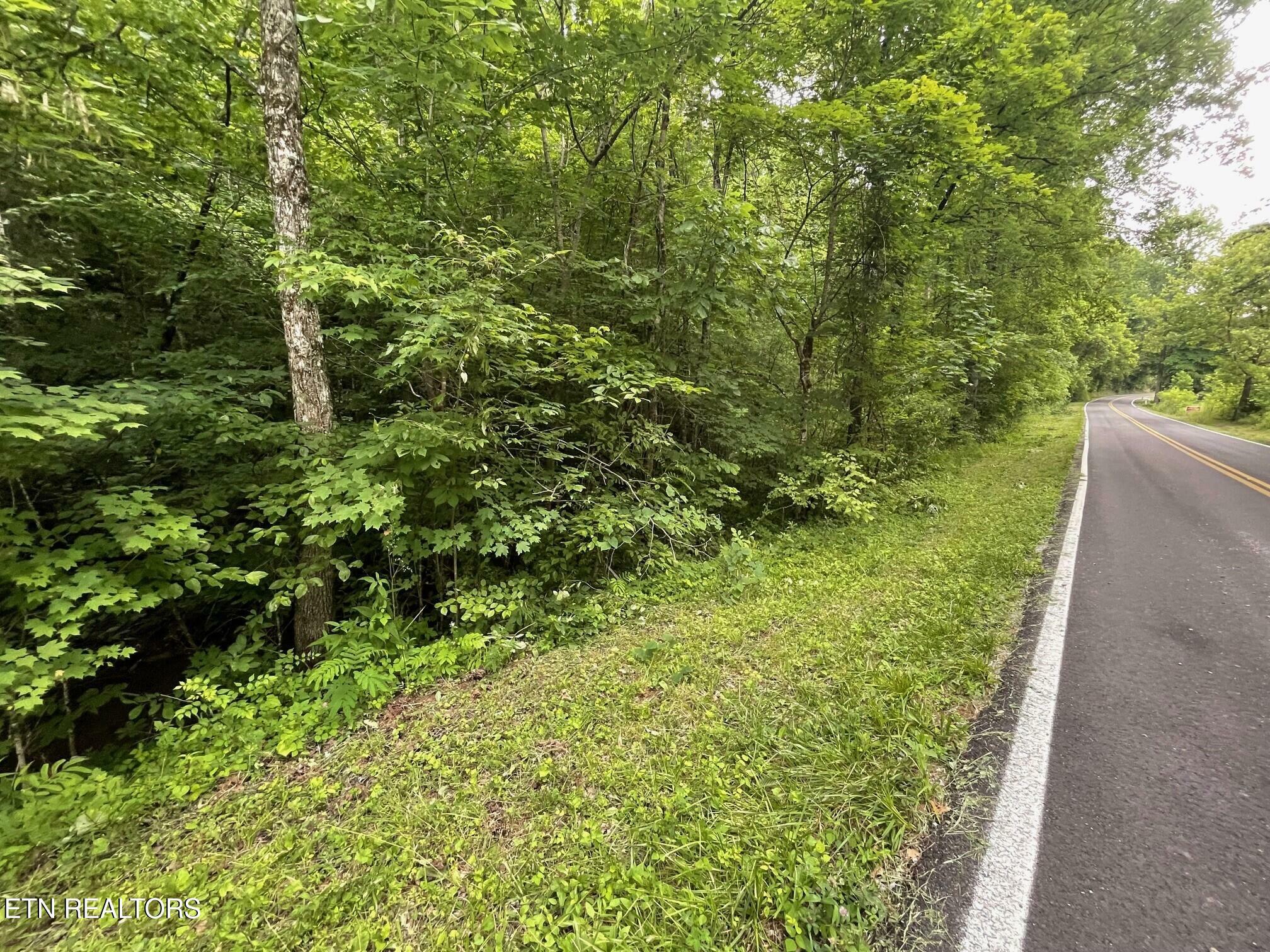 Property Photo: 1477 Old Chilhowee Rd TN 37865