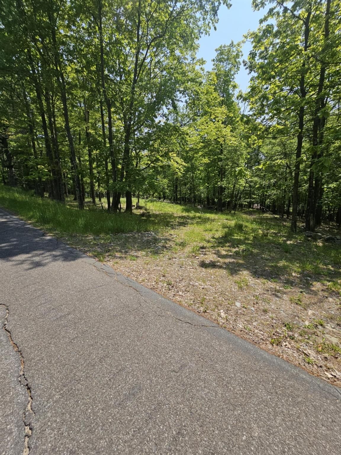 Property Photo: Skyline Drive NY 12765