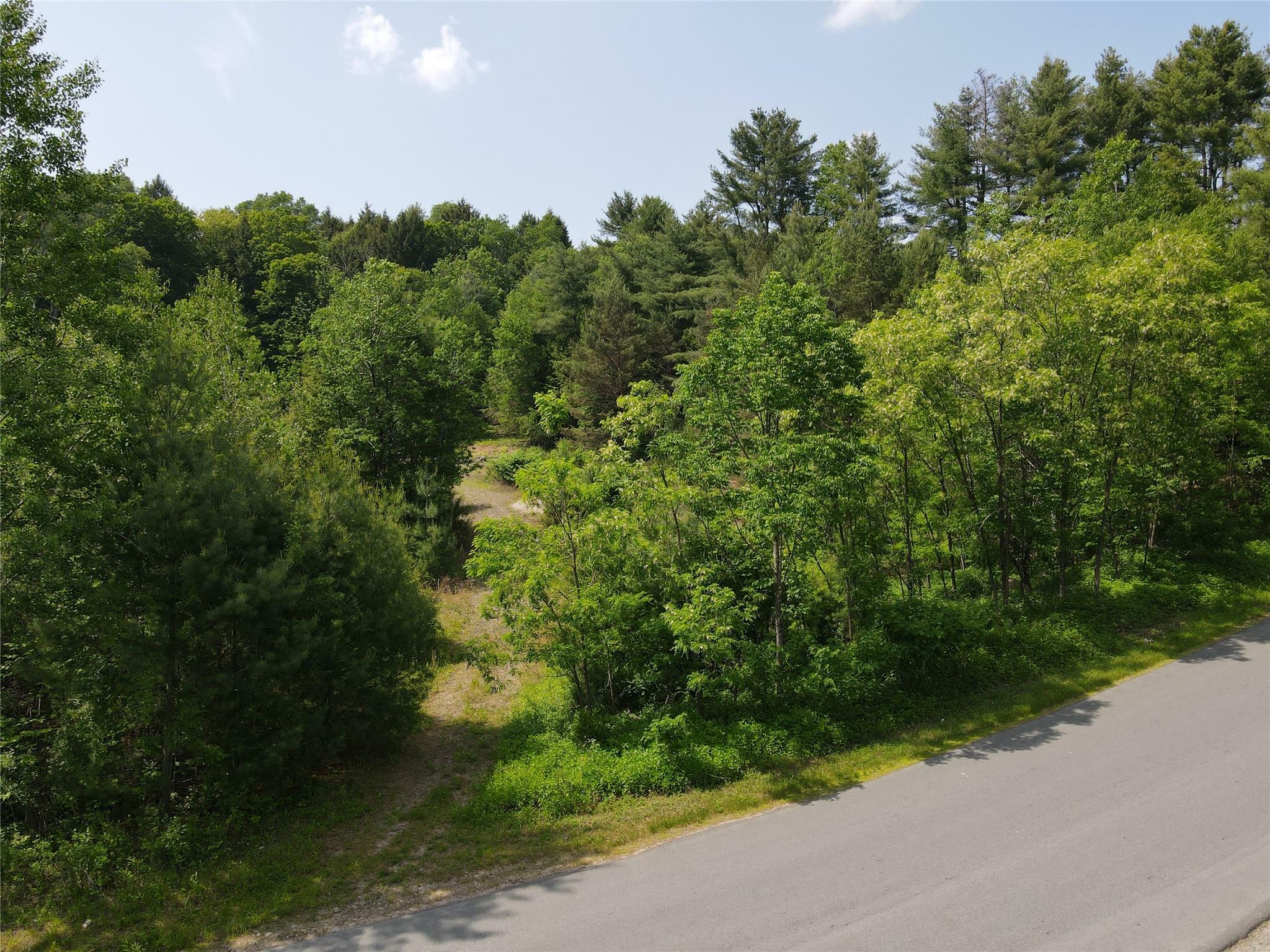 Property Photo:  Gale Road  NY 12762 