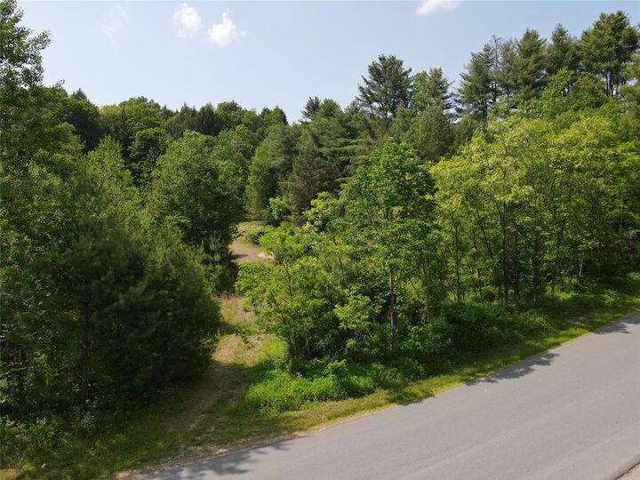 Property Photo:  Gale Road  NY 12762