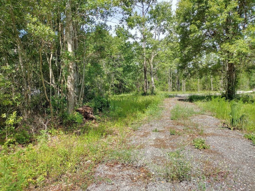 Property Photo: 1760 Berrybush Street FL 32110