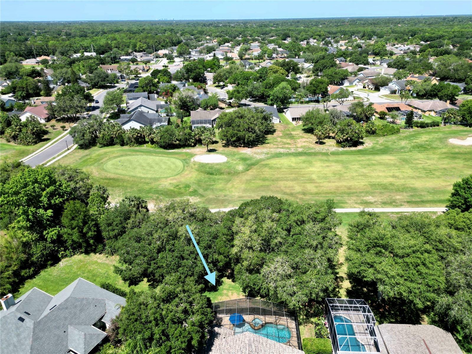 Property Photo: 1969 Crystal Downs Court FL 32765