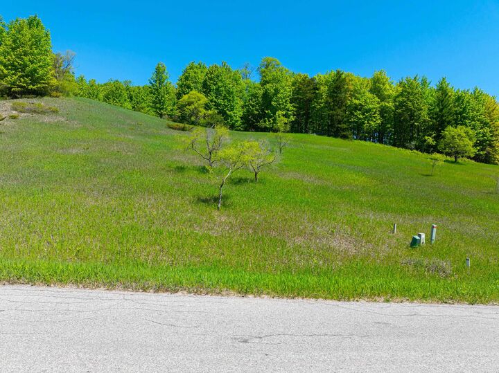 Property Photo:  0 Wyatt Road  MI 49684 