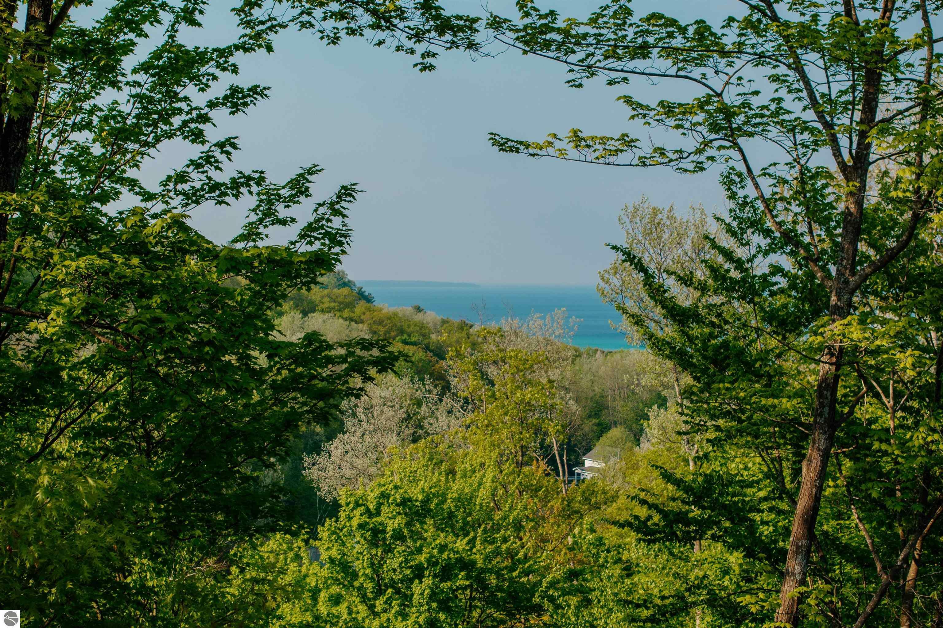 Property Photo: 9150 S Majestic Ridge Drive MI 49684