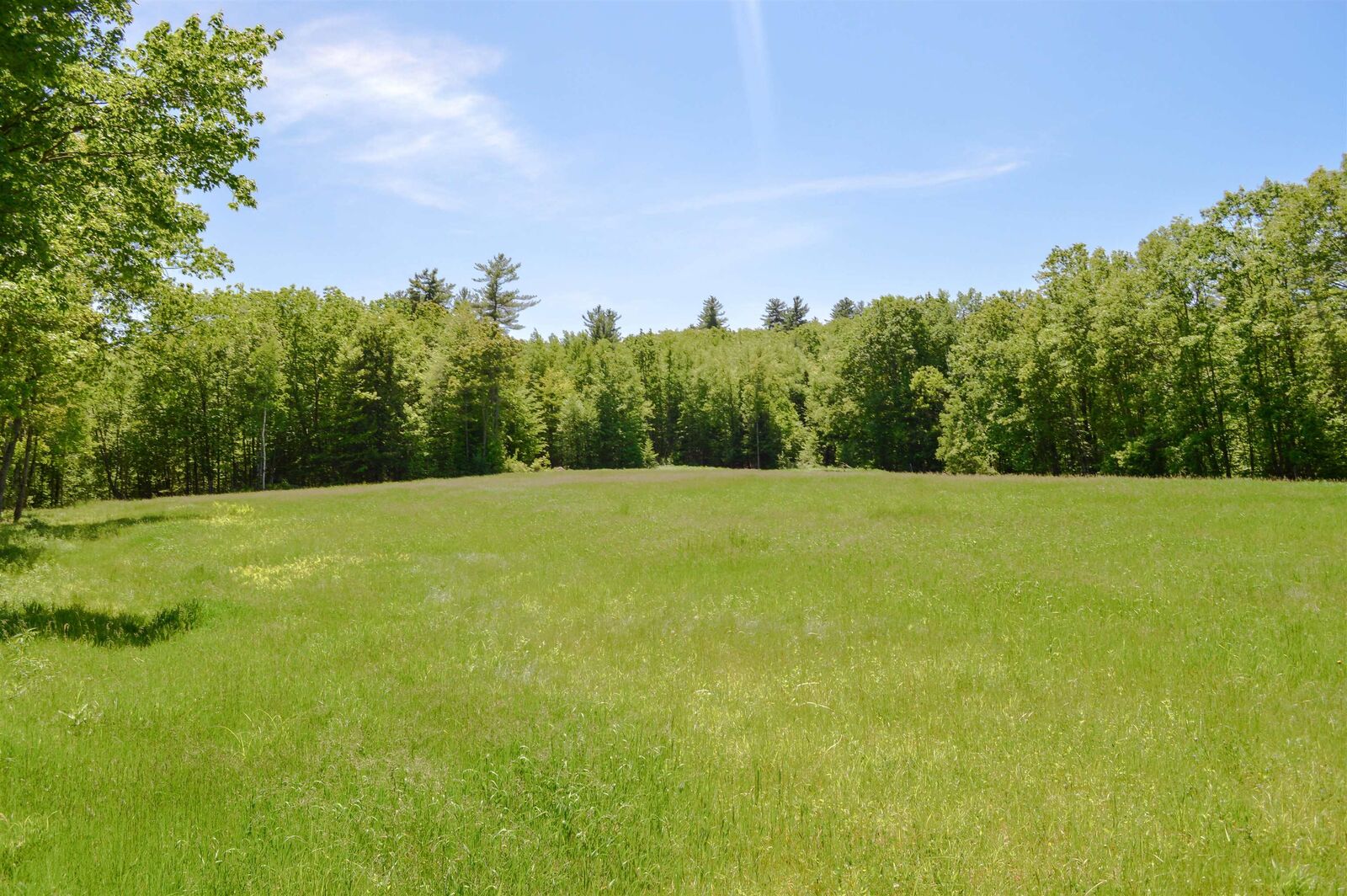 Property Photo: 00 Mulligan Row NH 03467