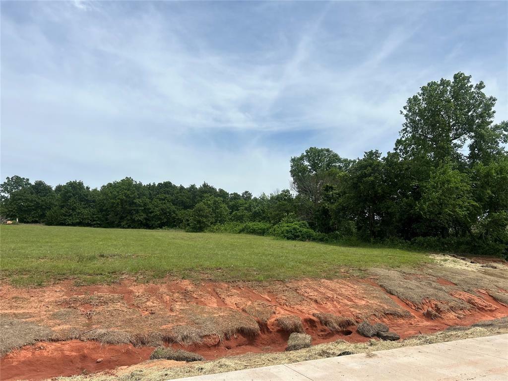 Property Photo: 1225 Layla Ln OK 73010