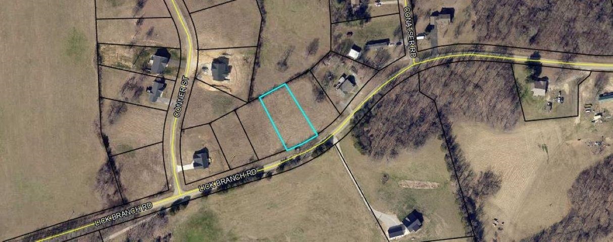 Property Photo: Lot 2 Lick Branch Road KY 42141
