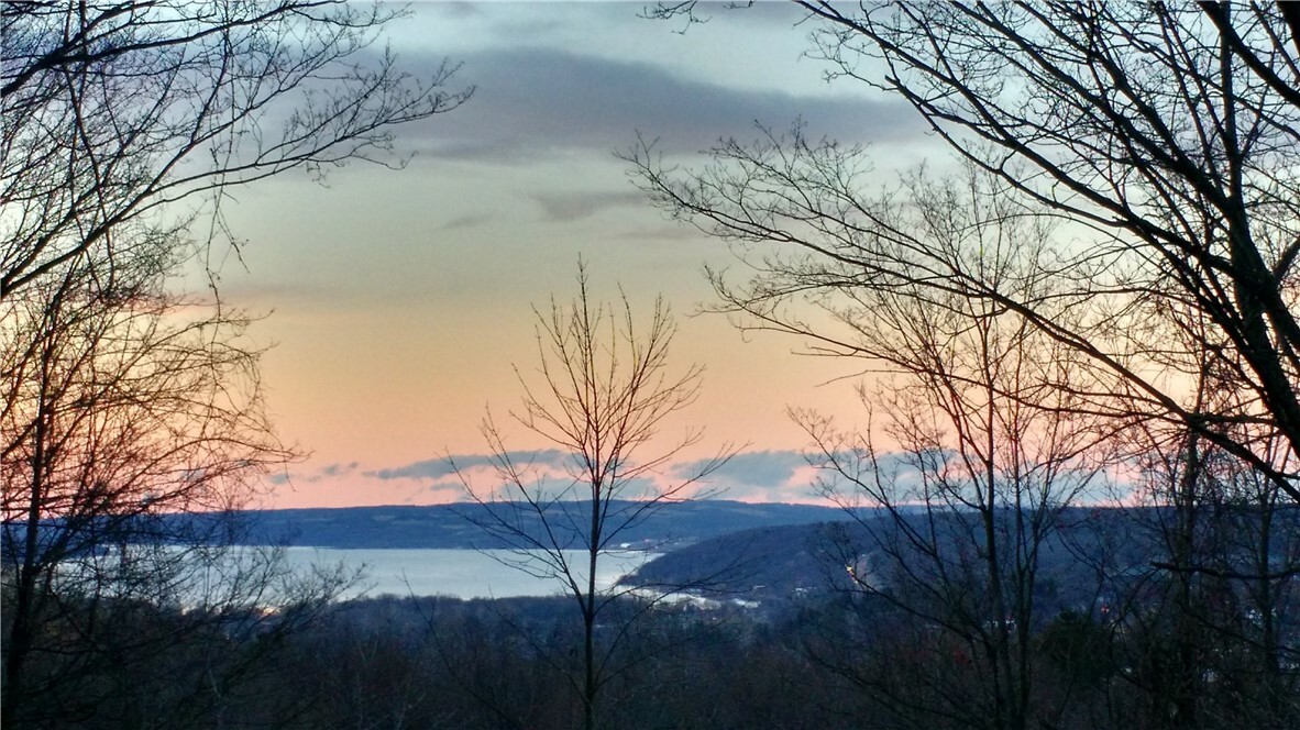 Property Photo: 319 Coddington Road NY 14850