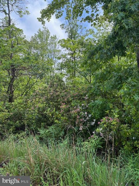 Property Photo:  0 East  PA 16829 