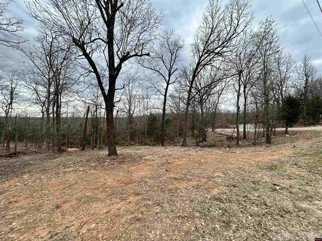 703 Cr 19  Mountain Home AR 72653 photo