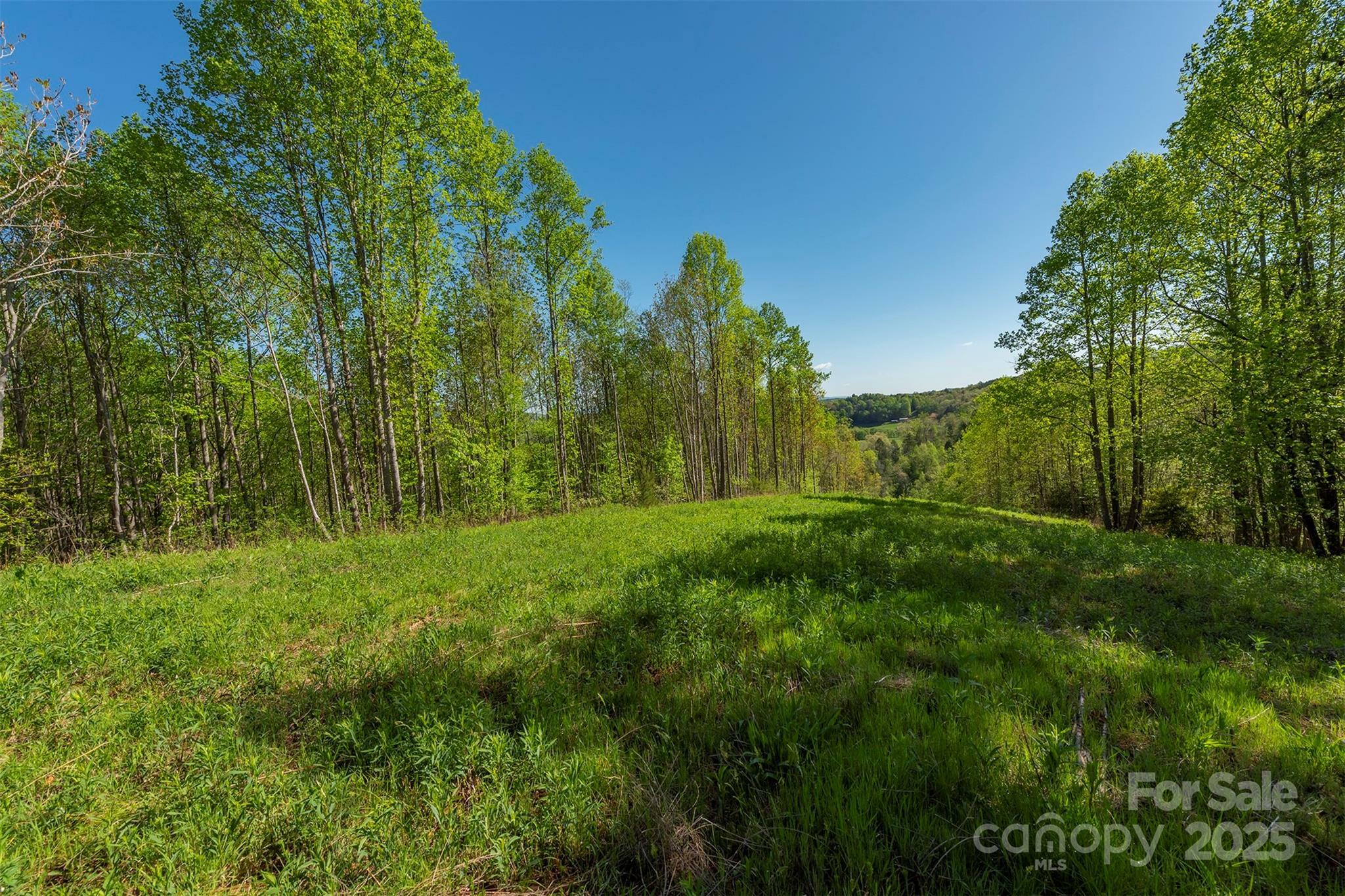 Property Photo: 000 Thousand Oaks Drive NC 28752