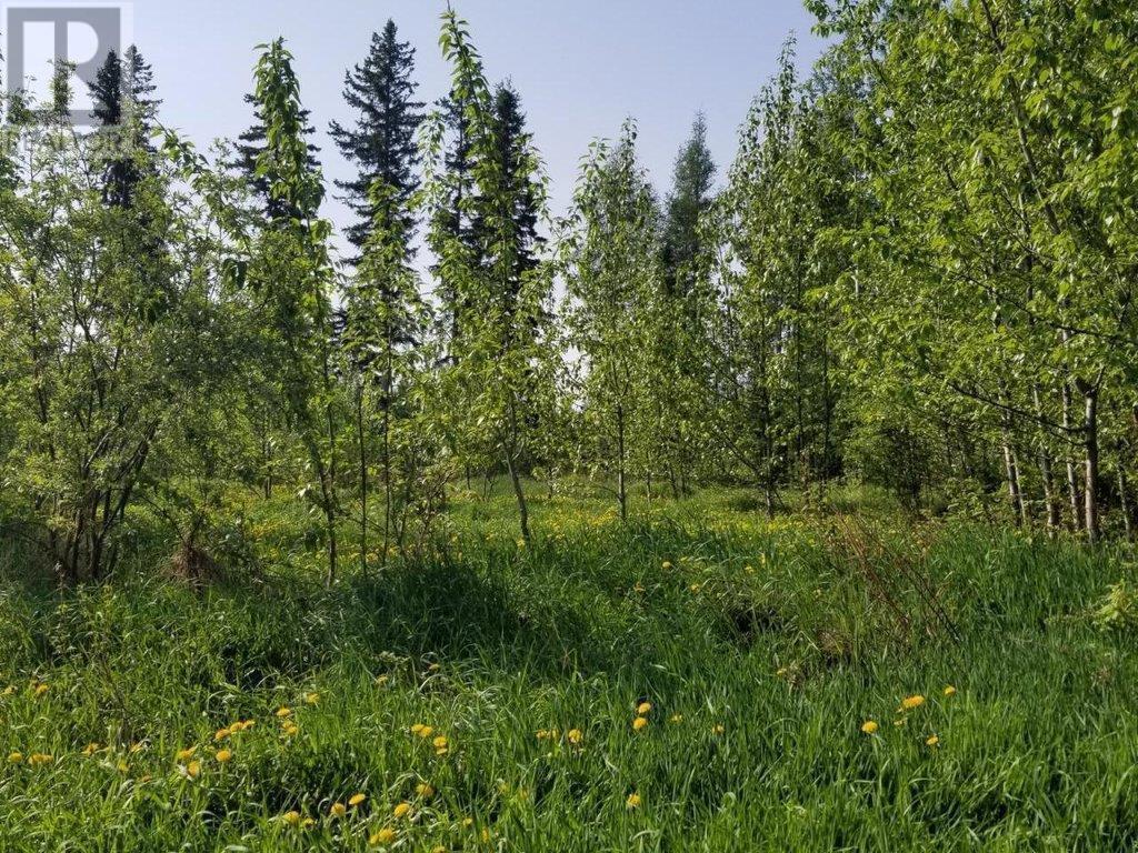 Property Photo:  4849 52 Avenue Southwest  BC V0C 1J0 