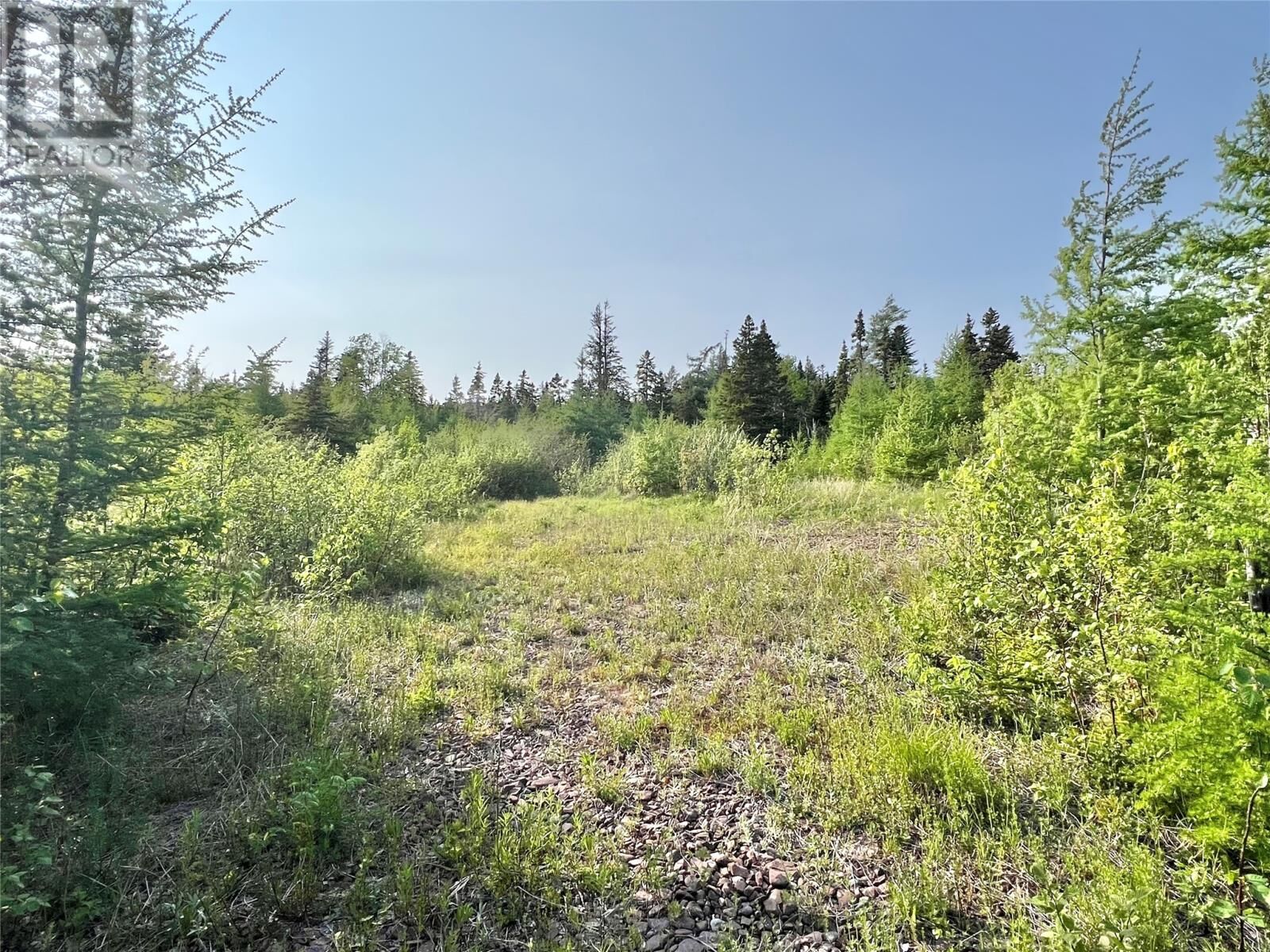 Property Photo:  437 Main Street  NL A0H 1E0 