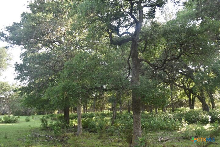 Property Photo:  18661 Wolfridge Road  TX 76549 