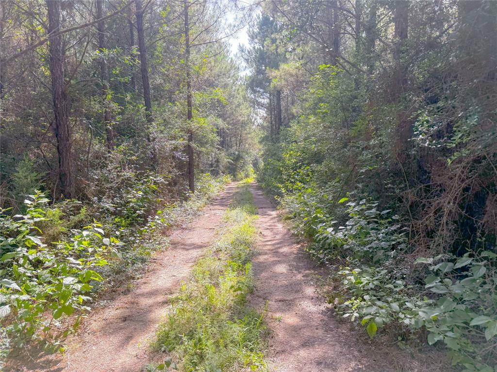 Property Photo: 0 County Road 2650 TX 77327