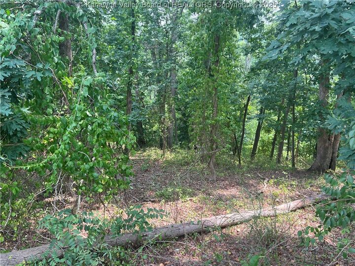 Property Photo:  0 Suncrest Place  WV 25303 