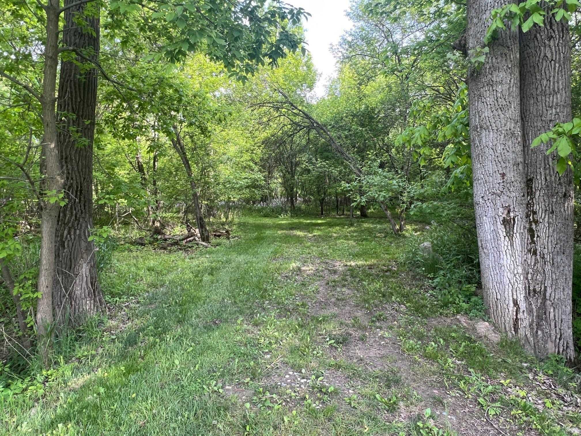 Property Photo: 4264 Benjamin Road MI 48872