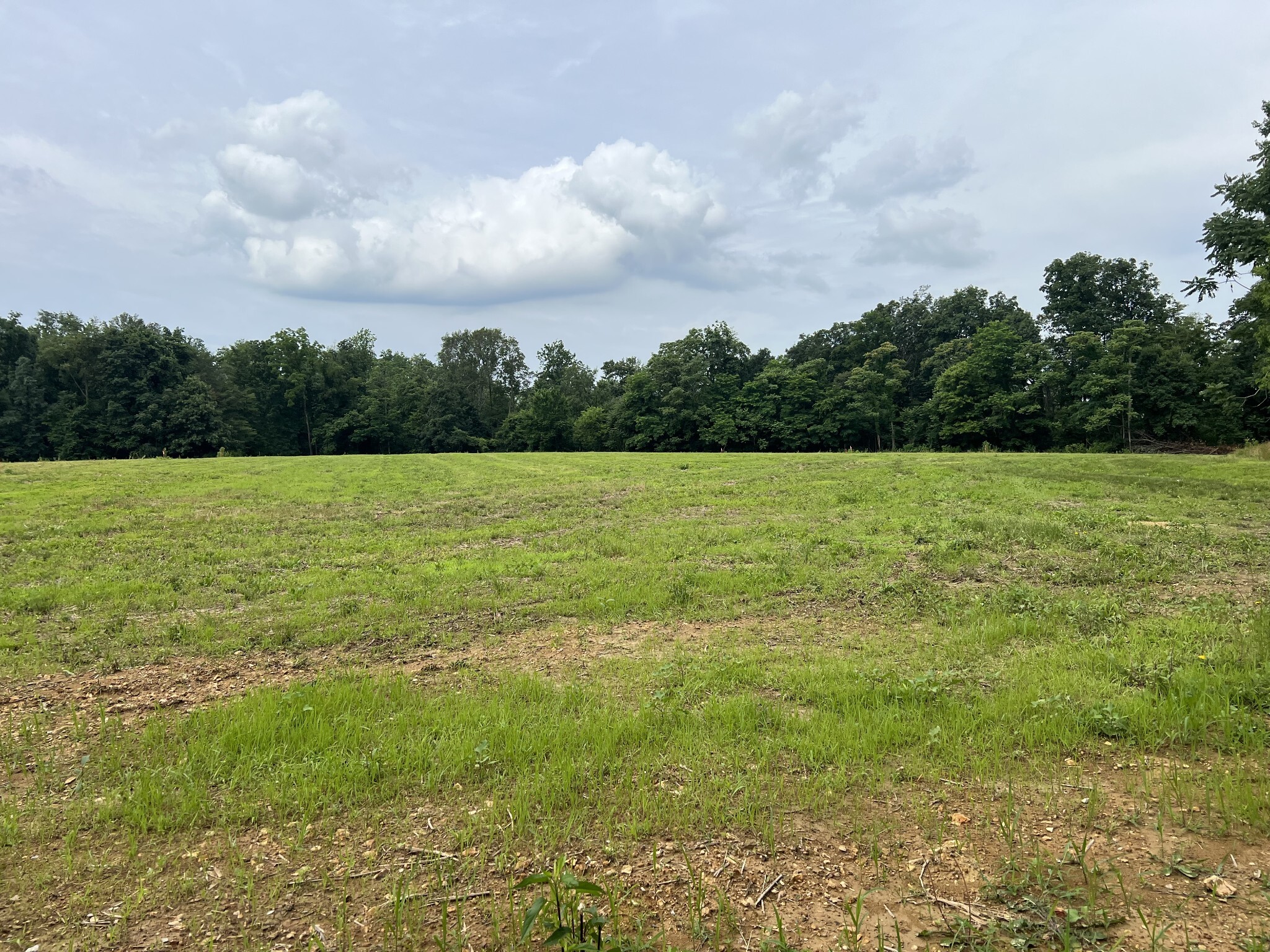 Property Photo:  20 Annie Hollow Rd  TN 37186 