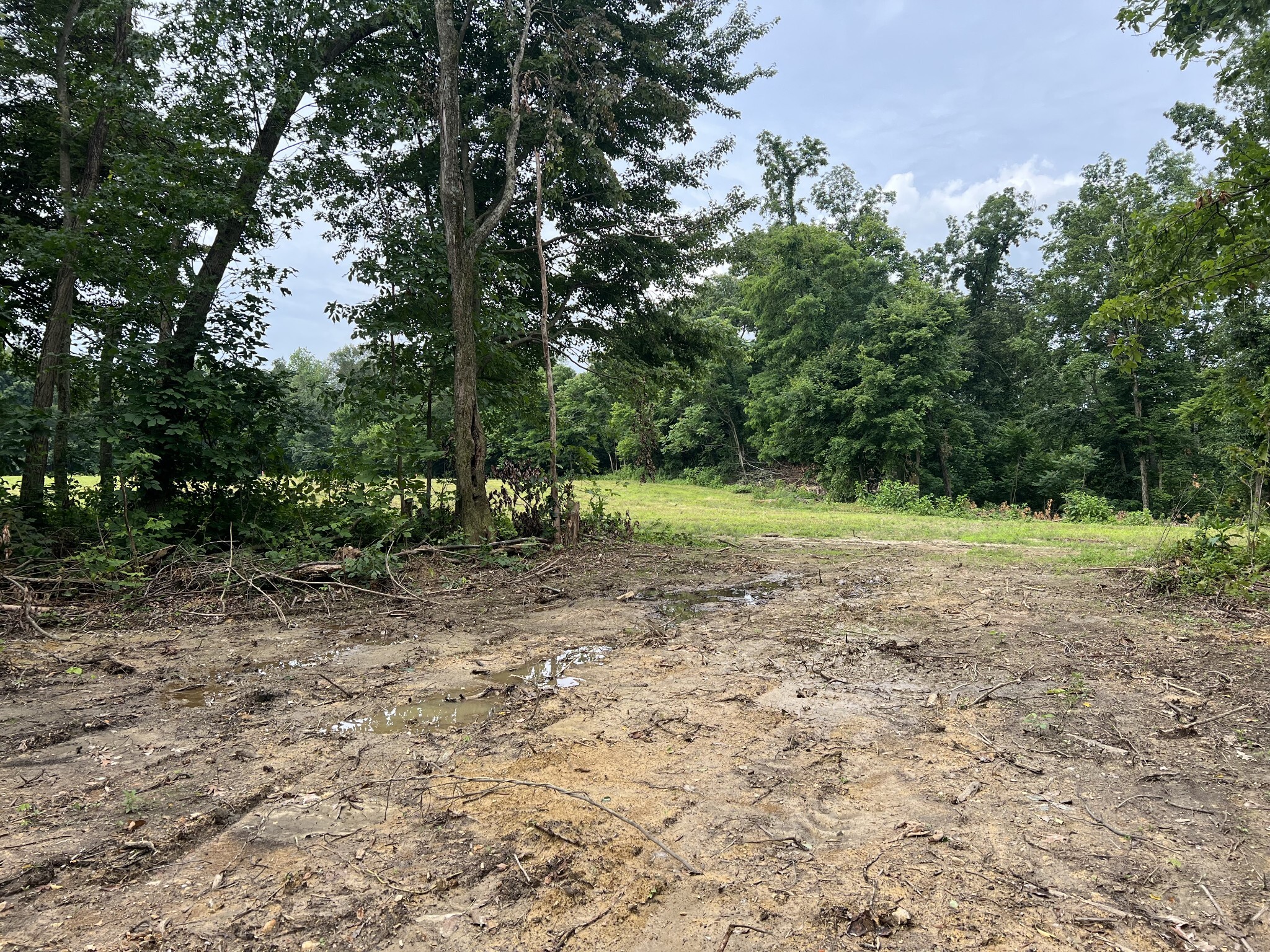 Property Photo:  22 Annie Hollow Rd  TN 37186 