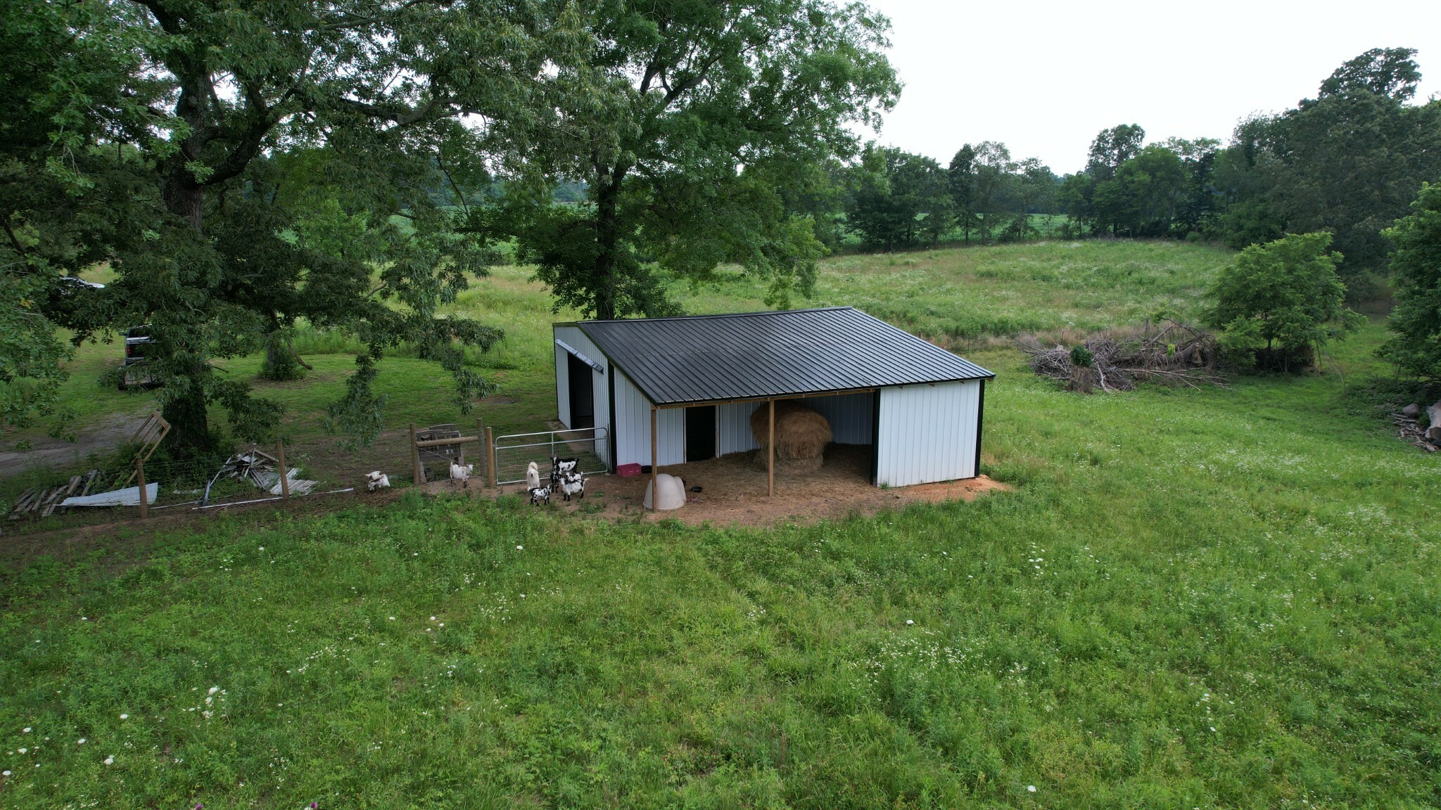 Property Photo: 521 Revilo Rd TN 38468