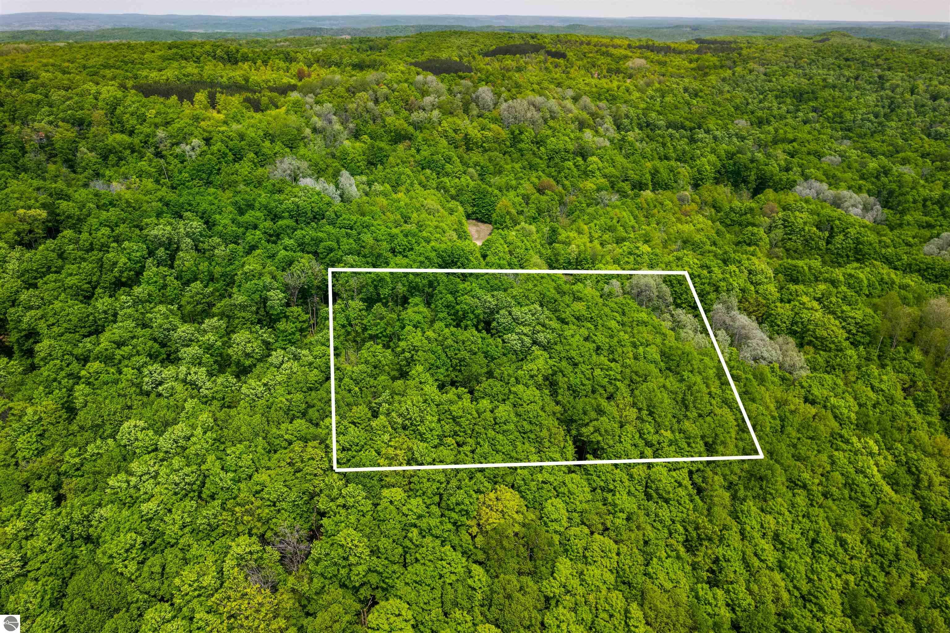 Property Photo:  V/L Spring Hill  MI 49659 