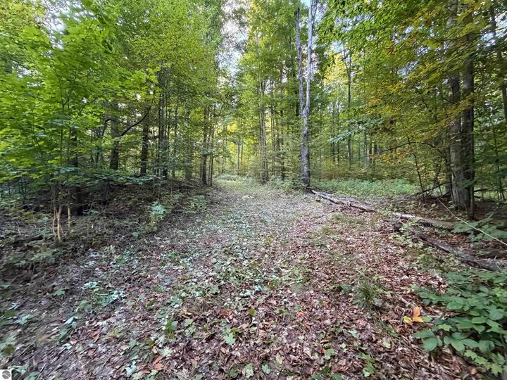Property Photo:  V/L Spring Hill  MI 49659 