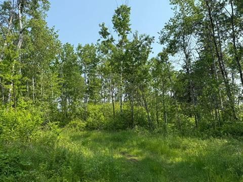 Property Photo: Tbd County Road T WI 54830