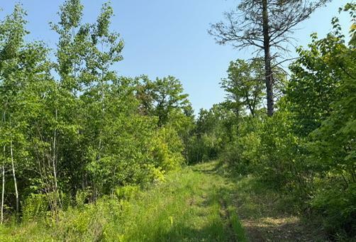 Property Photo:  Tbd County Road T  WI 54830 