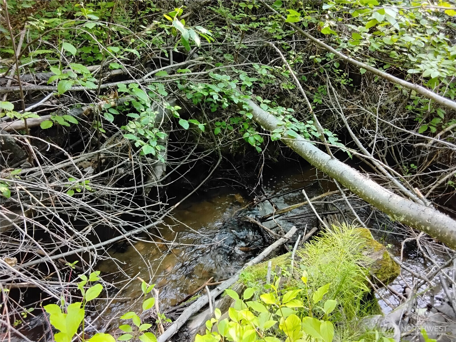 Property Photo: 0 Siwash Creek Road WA 98855