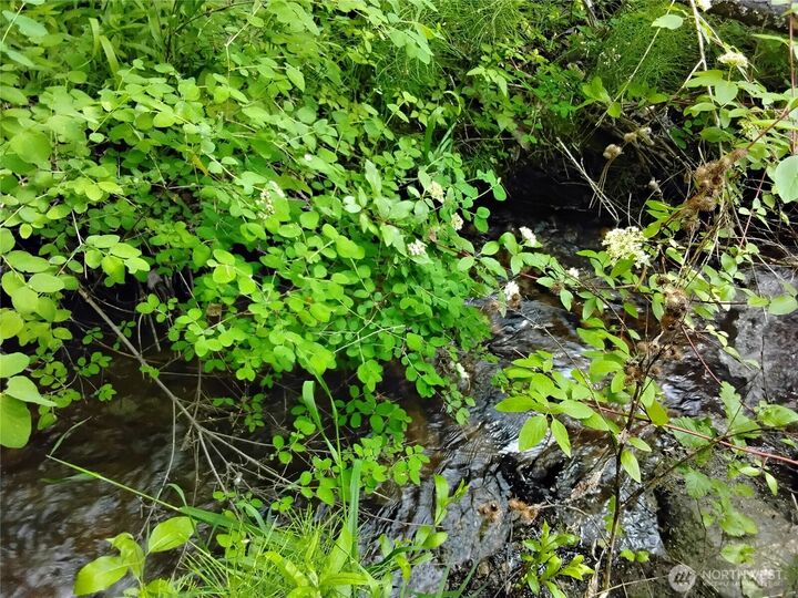 Property Photo:  0  Siwash Creek Road  WA 98855 