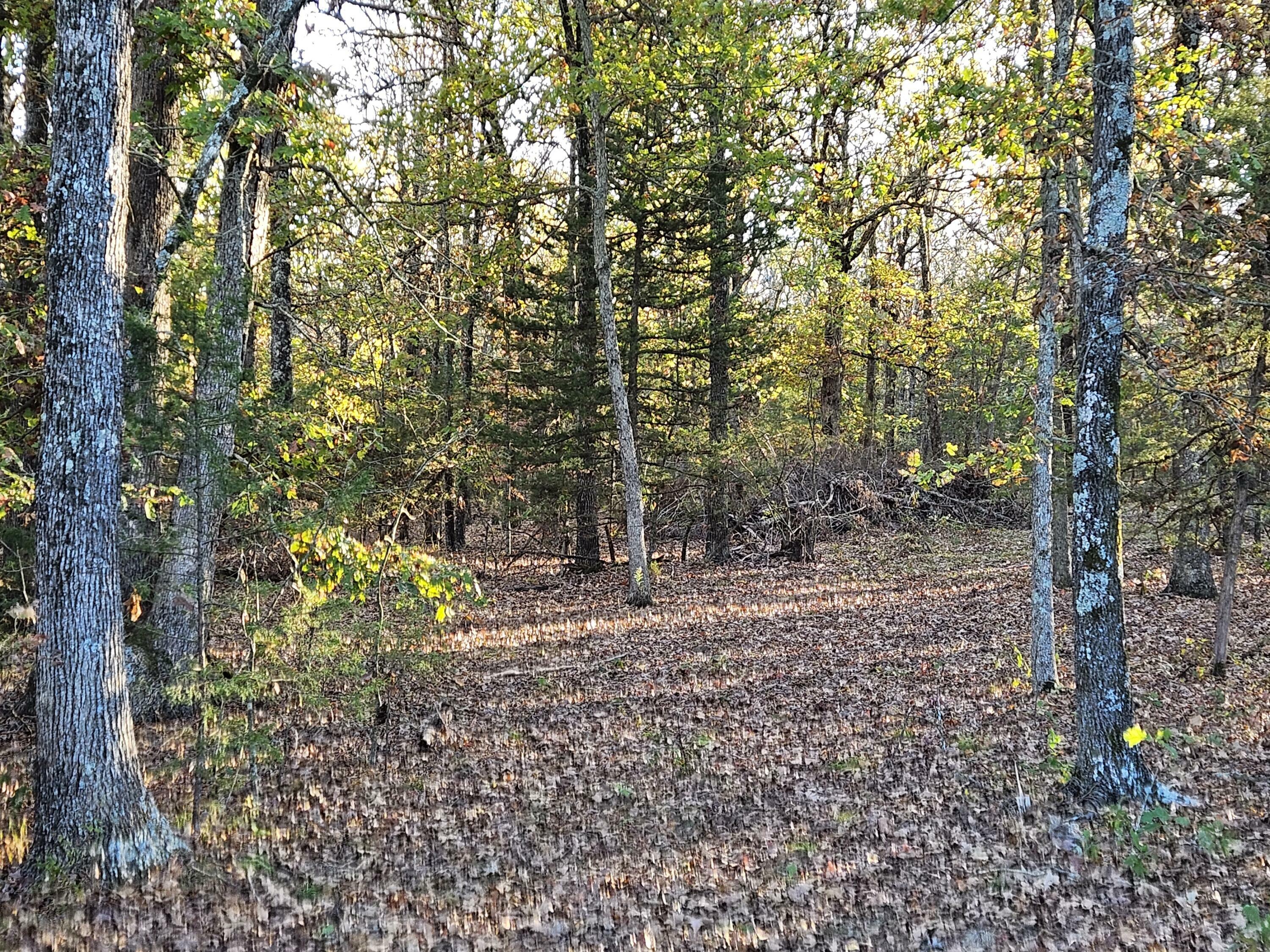 Property Photo:  Tract 2 State Highway 174  MO 65705 