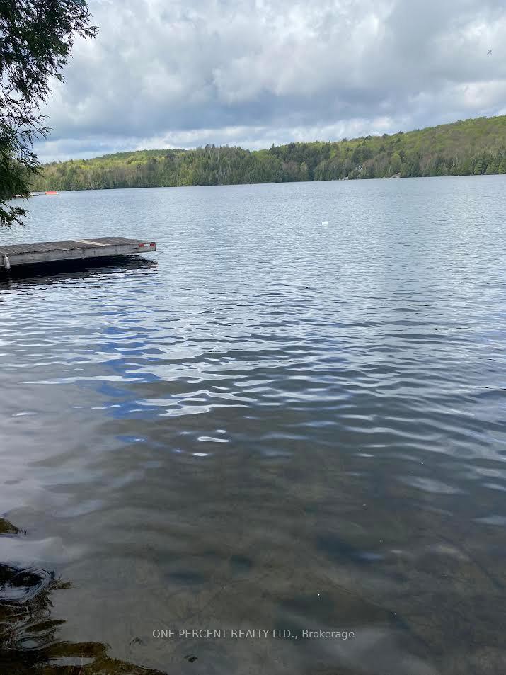 Property Photo: 393 Loon Lake Road S ON P0A 1M0