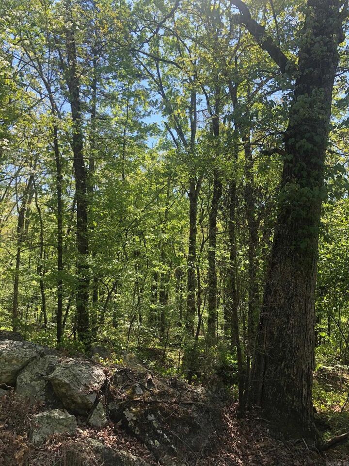 Property Photo:  Tract 14 Weldon Rd.  AR 72067 