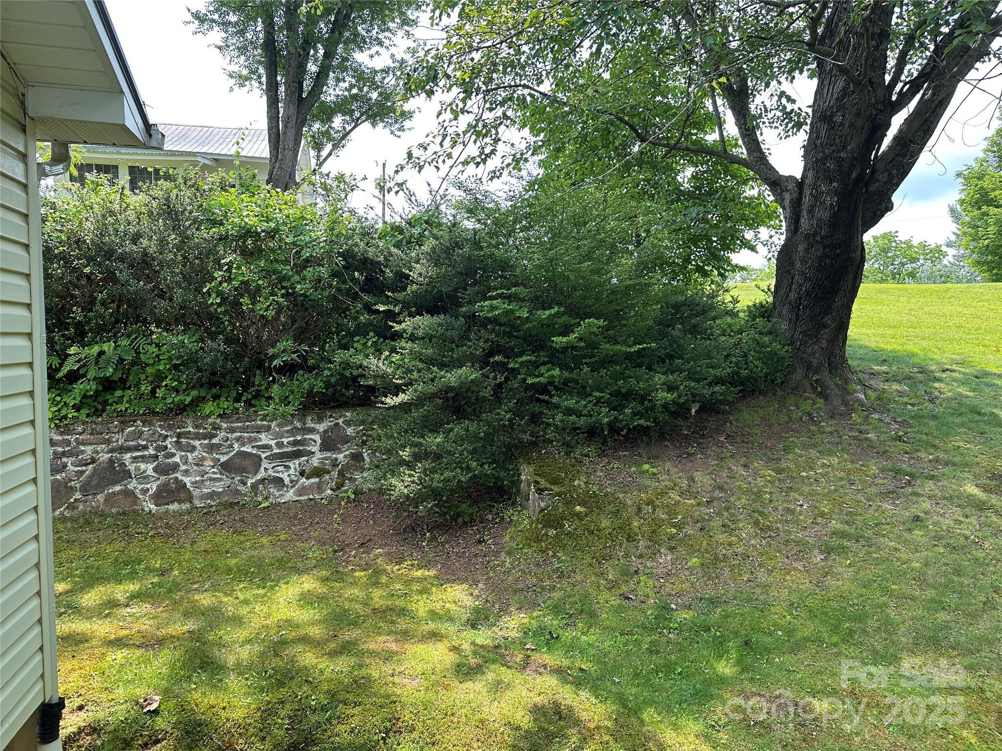 Property Photo: 180 White Dogwood Lane NC 28745