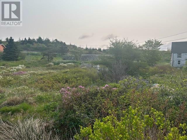 21 Front Road  Renews NL A0A 3N0 photo