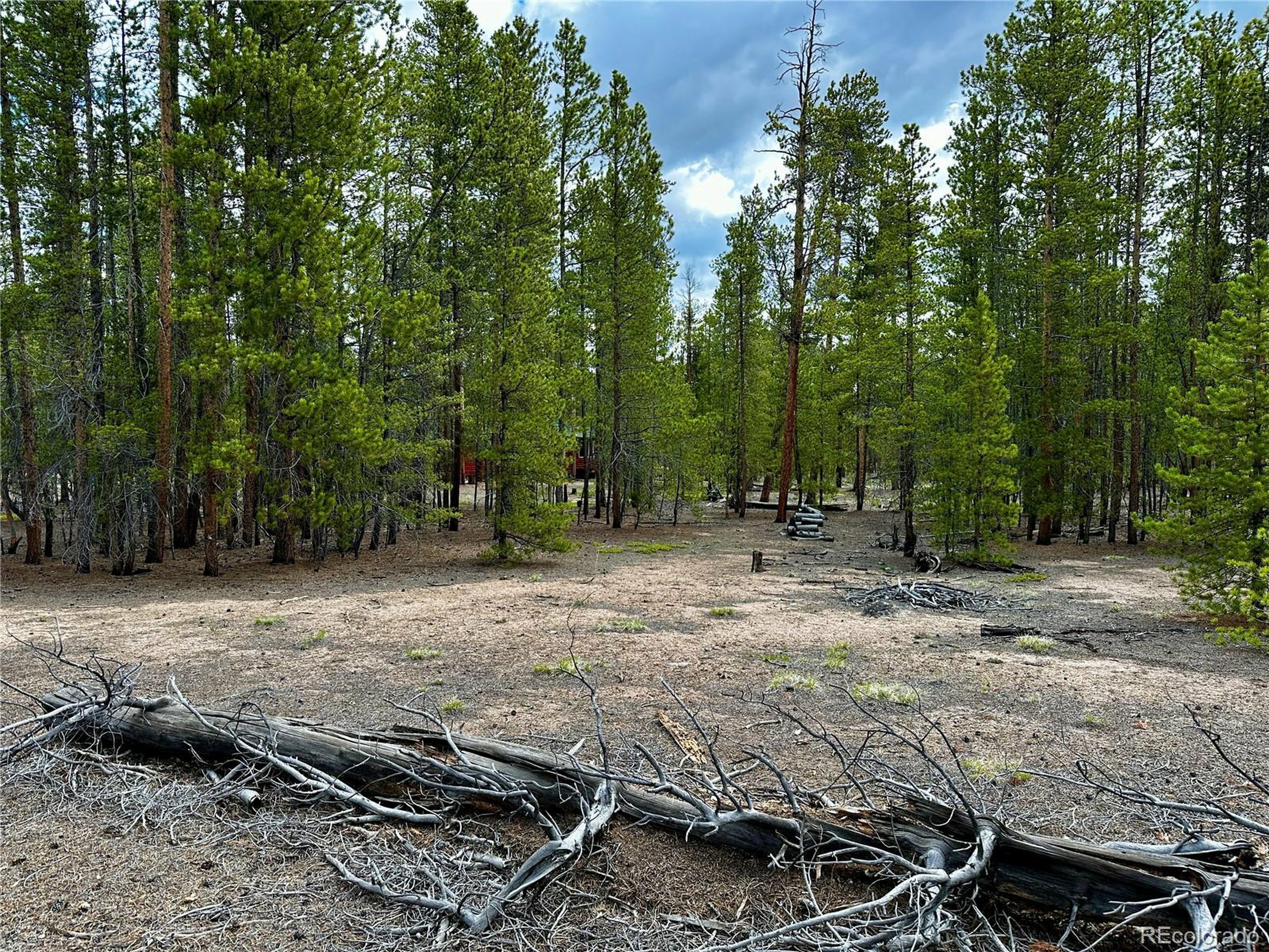 Property Photo:  644 Birch Dr  CO 80461 