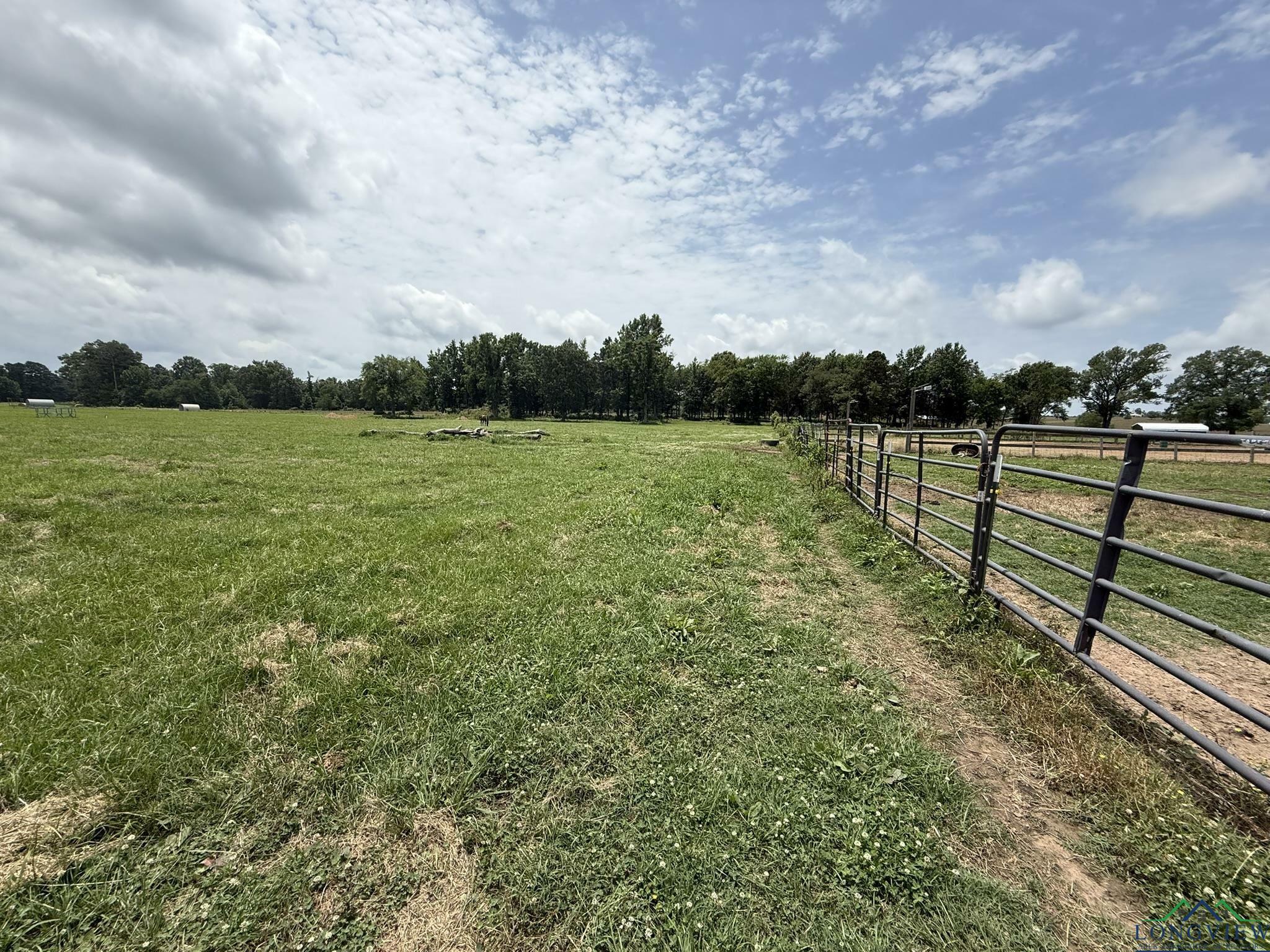 Property Photo: Tbd Fm 993 TX 75686