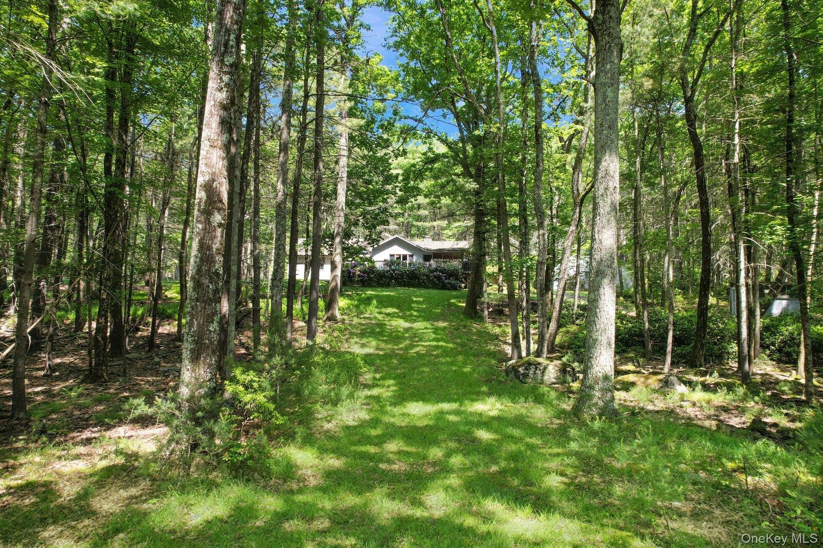 Property Photo: 141 Mountain Laurel Lane NY 12737